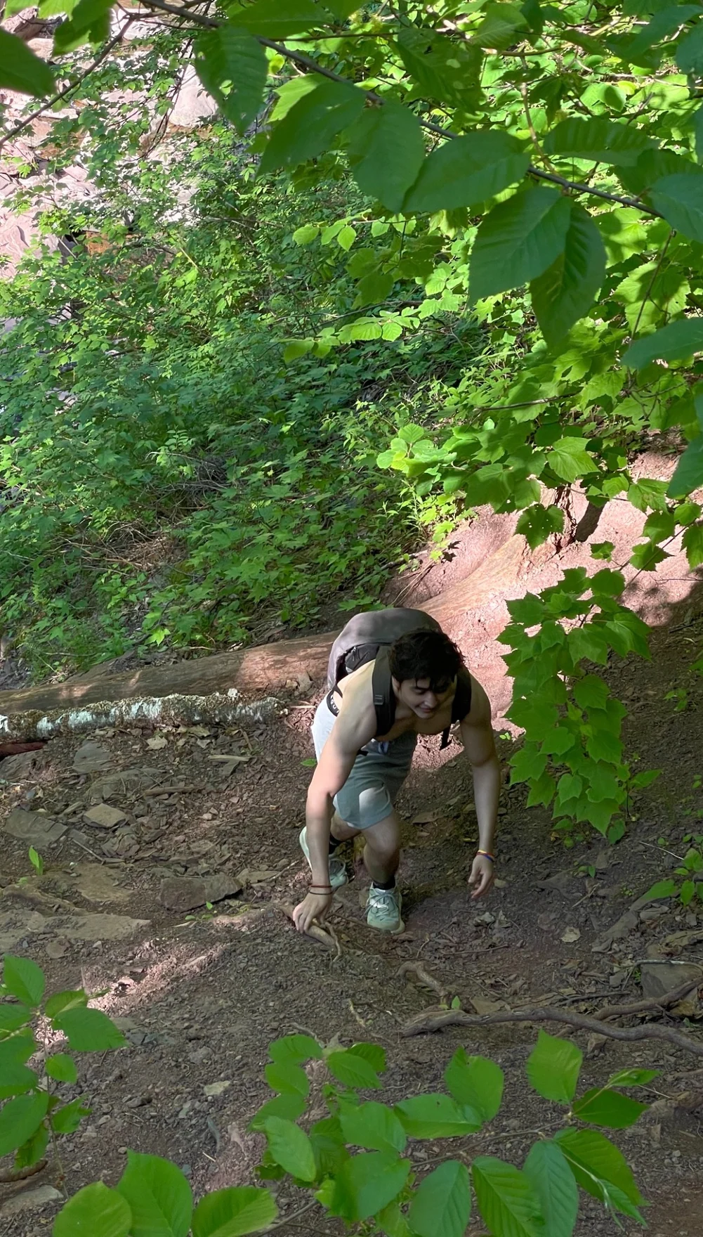 Hiking on a wooded trail